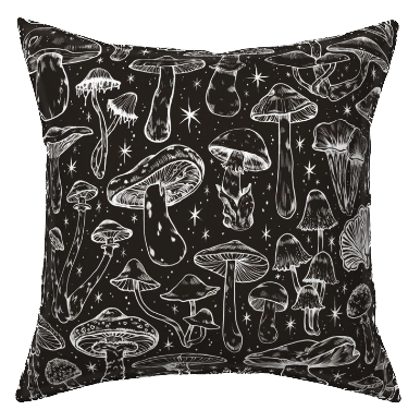 Throw Pillows - Set of 2