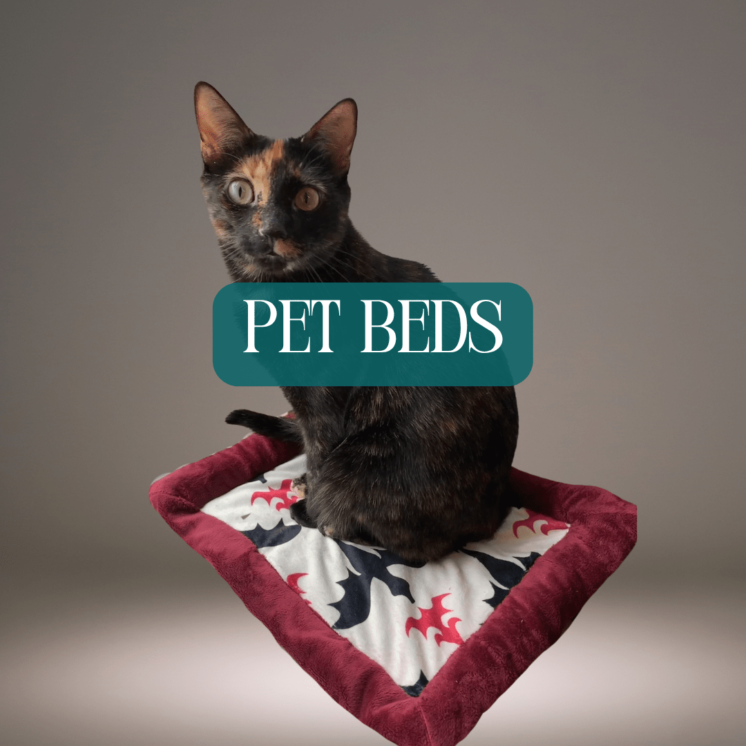 Pet Beds (Cats or other household creatures) - FireflyBazaarTX