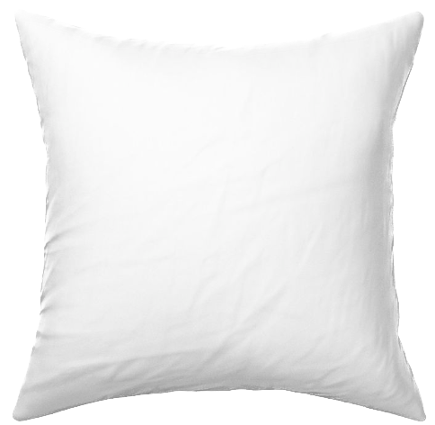 Throw Pillows - Set of 2