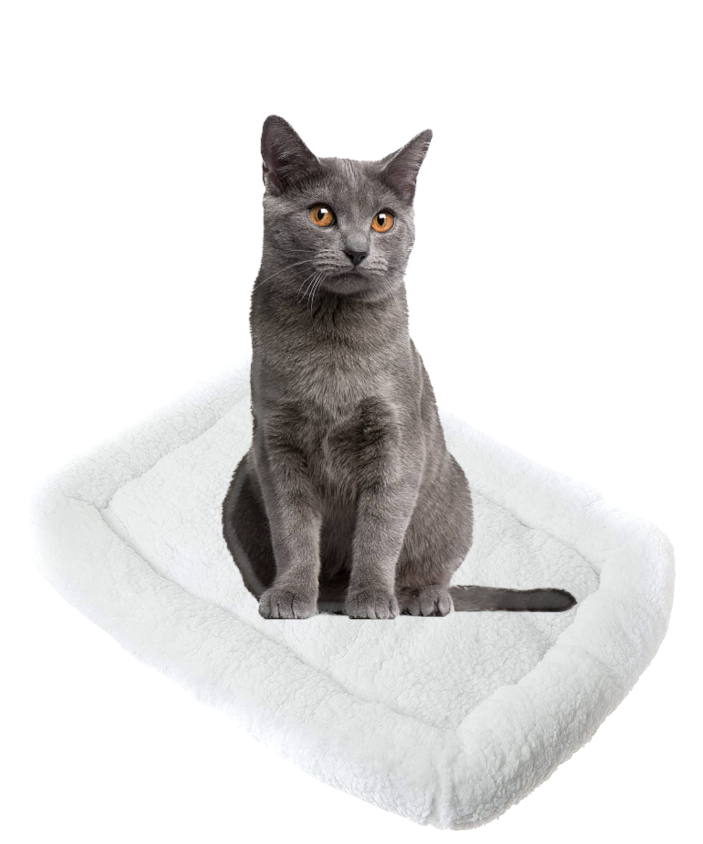 Pet Beds (Cats or other household creatures)