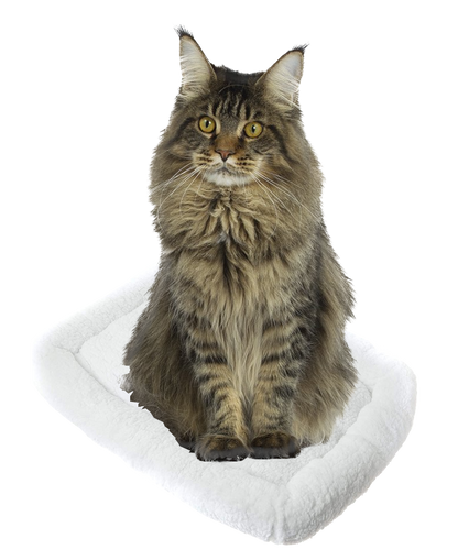 Pet Beds (Cats or other household creatures)