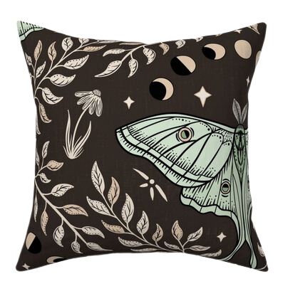 Throw Pillows - Set of 2